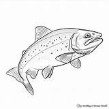 Trout Coloring Pages  Free & Printable sketch template