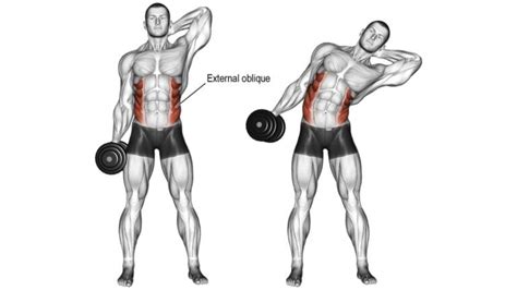 Kettlebell Side Bend: How To, Muscles Worked