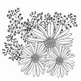 Flowers Coloring Pages 10 Free & Fun Printable Of  sketch template