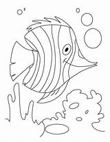 Underwater Plants Coloring Pages At GetColoringscom  Free Printable sketch template