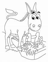 Donkey Coloring Pages Free sketch template