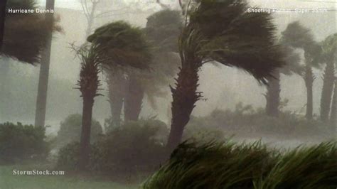 Palm trees, intense winds, Hurricane Dennis, 35mm - StormStock - YouTube