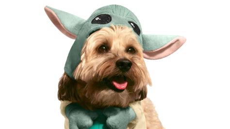 Disney's Selling a Baby Yoda Pet Costume