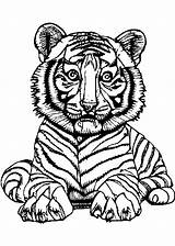 Tiger Cub Coloring Page · Creative Fabrica sketch template