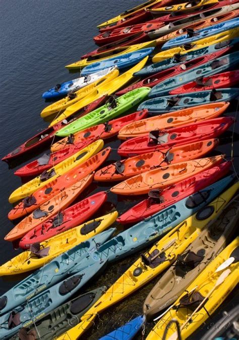 love the colors and shapes | Kayaking, Kayak art, Kayak paddle