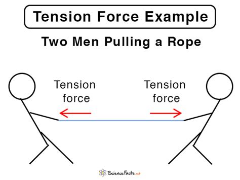 Tension (Tension Force): Definition, Formula, and Examples
