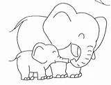 Elephant coloring Page To Print  Coloring Pages sketch template