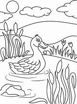 Dibujos De Patos Para Colorear Nios Imágenes DIBUJAR A sketch template
