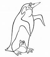 Adelie Penguin Coloring Page At GetDrawings  Free Download sketch template