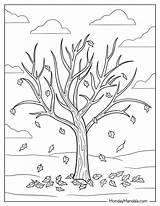 Fall Tree Coloring Page For Kids sketch template