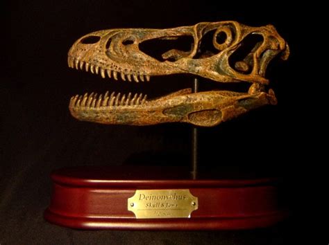 Deinonychus Skull Replica by DinoStoreus - Dan's Dinosaurs