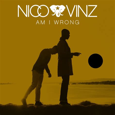 Popschredder: Nico & Vinz: Am I Wrong