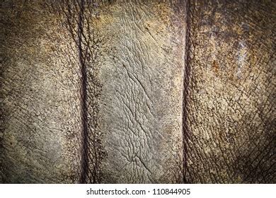 1,523 Rhino Skin Pattern Images, Stock Photos & Vectors | Shutterstock