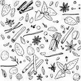 Spices Coloring Pages sketch template