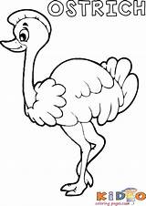Ostrich coloring In page Printable  Kids Coloring Pages sketch template