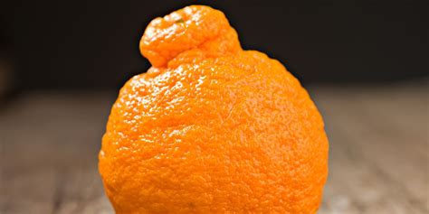 What Is A Sumo Citrus Orange? - Why Are Sumo Oranges So Expensive?