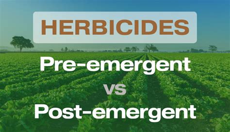 Pre-emergent vs. Post-emergent Herbicides – FarmerDB