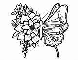 Floral Butterfly Coloring Sheet  SCYAP Kleurplaten Prints Vlinders sketch template