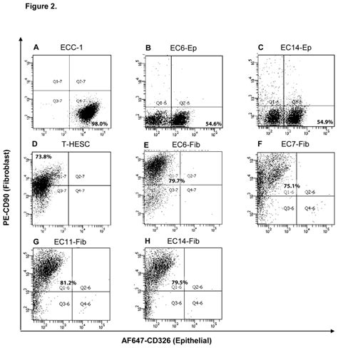 EpCAM and CD90 expression in established primary culture. Flow... | Download Scientific Diagram