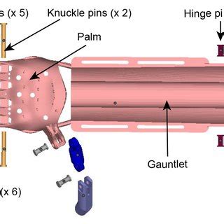 Components of the 3D printed upper limb prosthesis. The terminal device... | Download Scientific ...