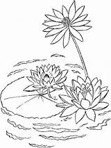Water lily coloring Pages Download And Print sketch template