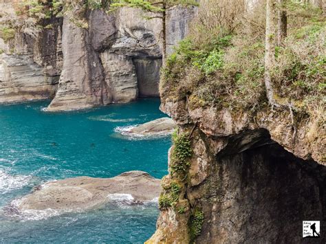 Cape Flattery Trail | Hiking with my Brother