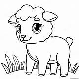 Cute Baby Sheep Coloring Page 59014 46697 sketch template