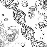 Dna Coloring Pages Drawing Worksheet Molecule Structure Printable  sketch template