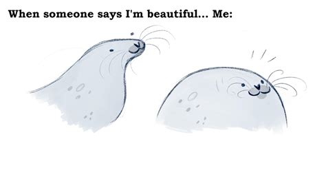 I love that seals can just : r/seals