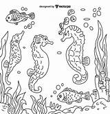 Underwater seahorses Coloring Pages For Kids & Adults Design Free Vector sketch template