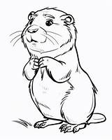 Beavers Coloring Pages sketch template