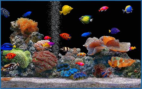 Full hd screensaver aquarium - Download free