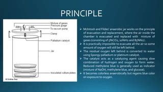 Anaerobic jar | PPT