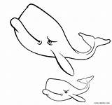 Printable Whale Coloring Pages For Kids  Cool2bKids sketch template