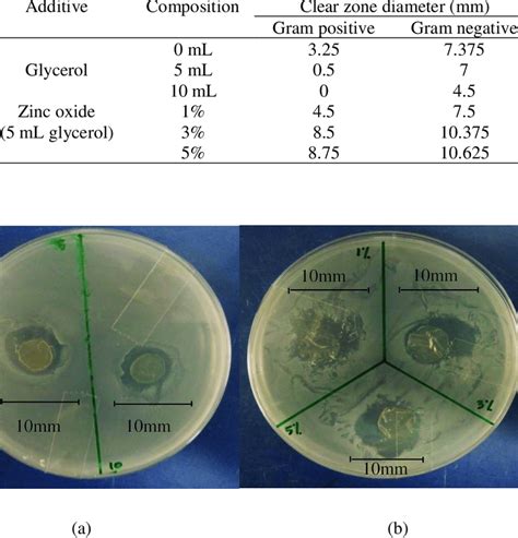 Antimicrobial activity test of chitosan-starch bioplastics (4%... | Download Table