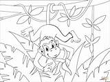 Monkey coloring Page  Free Printable Coloring Pages sketch template