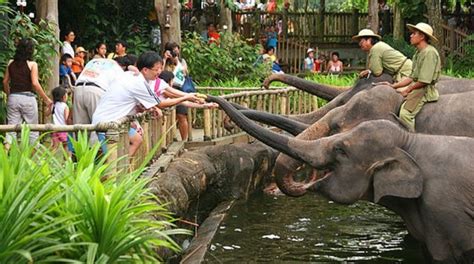 20+ Gambar Pemandangan Zoo - Galeri Gambar Dini