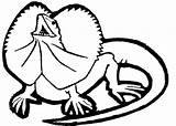 Lizard Coloring Pages  100 Pictures Free Printable sketch template