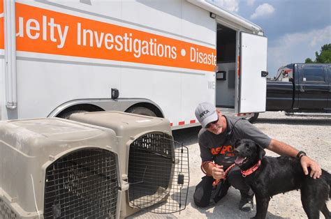 Animals rescued from Lawrence County are being transferred to shelters in 10 states - al.com