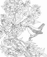 Poverty Coloring Pages Coloring Pages sketch template