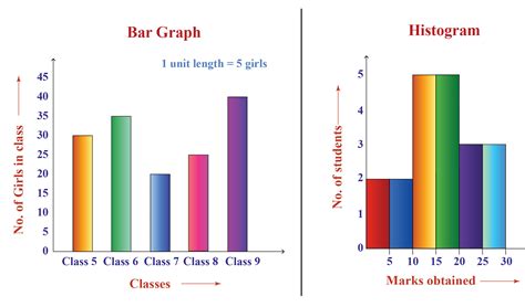 Quantitative Data Bar Graph at Michael Foote blog