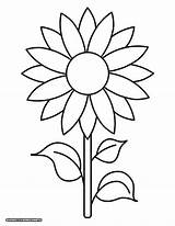 Sunflower Template Free Printables  Superstar Worksheets sketch template