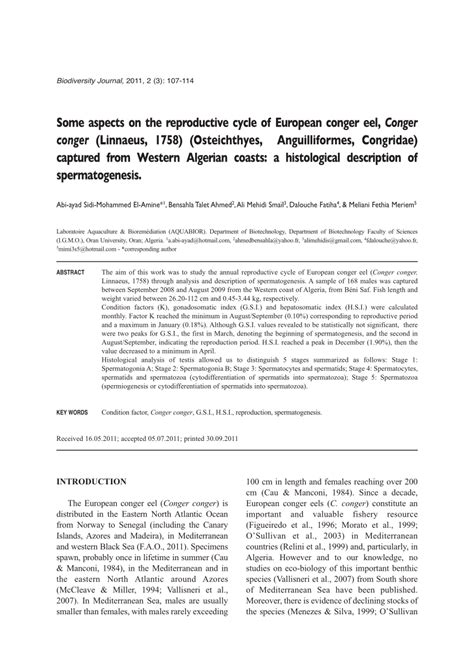 (PDF) Some aspects on the reproductive cycle of European conger eel, Conger conger (Linnaeus ...