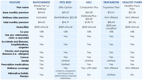 All you need to know about Pet Insurance