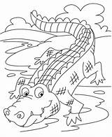Free & Easy To Print Alligator Coloring Pages  Tulamama sketch template