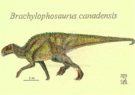 Brachylophosaurus canadensis by PedroSalas on DeviantArt