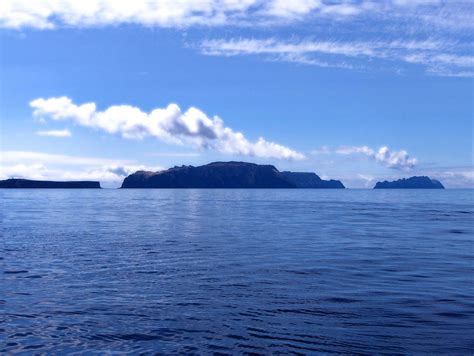 Madeira Boat trips - to the islands of Desertas