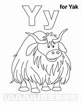 Y For yak coloring Page With Handwriting Practice  Coloring Pages sketch template