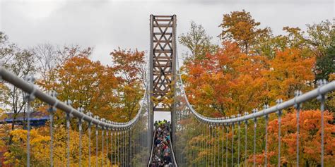 World’s longest timber-towered suspension bridge opens to daring sightseers in Michigan | Fox ...