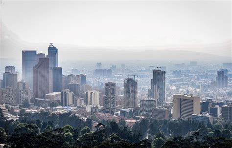 Invasive vegetation stoking fierce Bogota fires